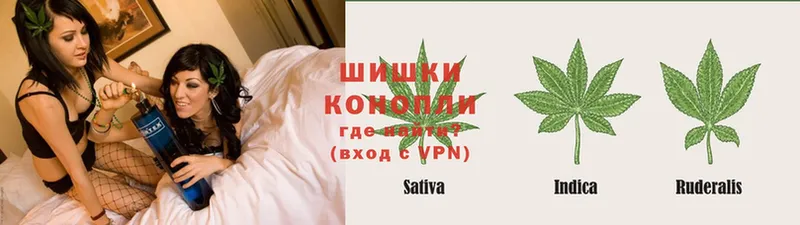 МАРИХУАНА White Widow  Будённовск 